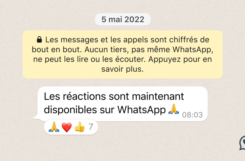 WhatsApp : Comment utiliser les réactions emojis