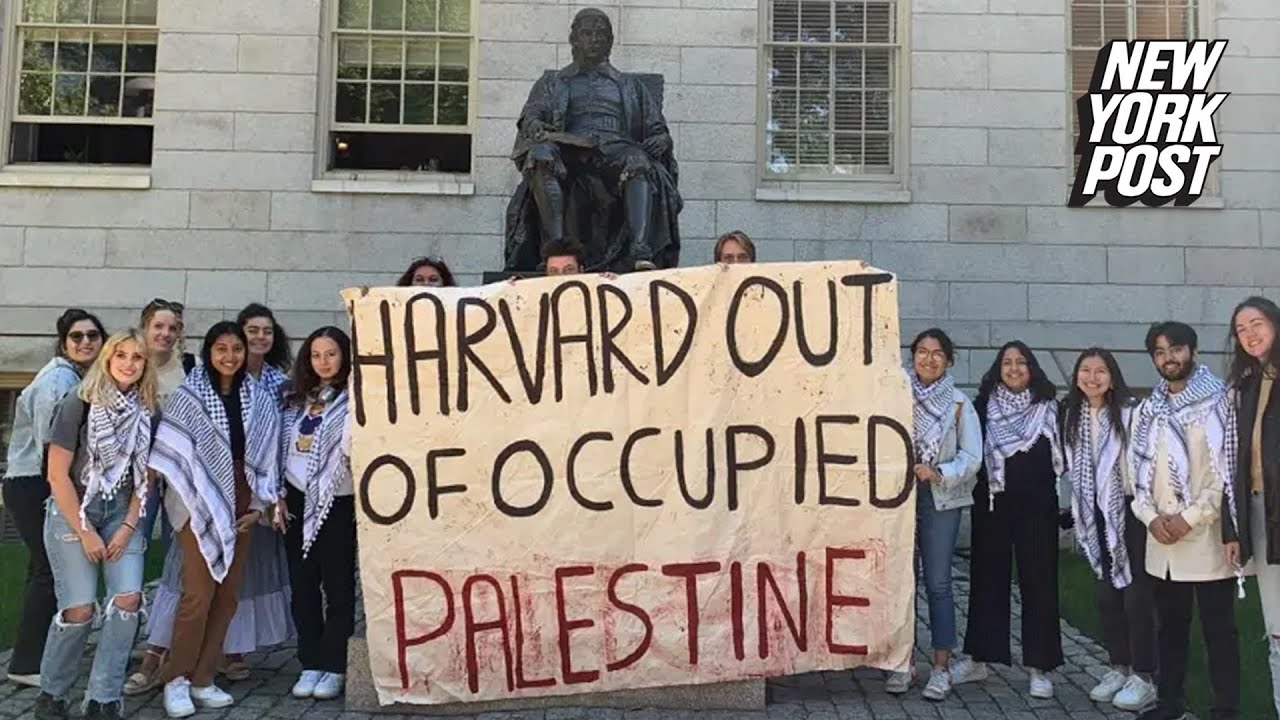 harvard palestine solidarity groups video