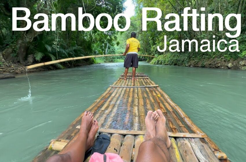  jamaica rafting viral video