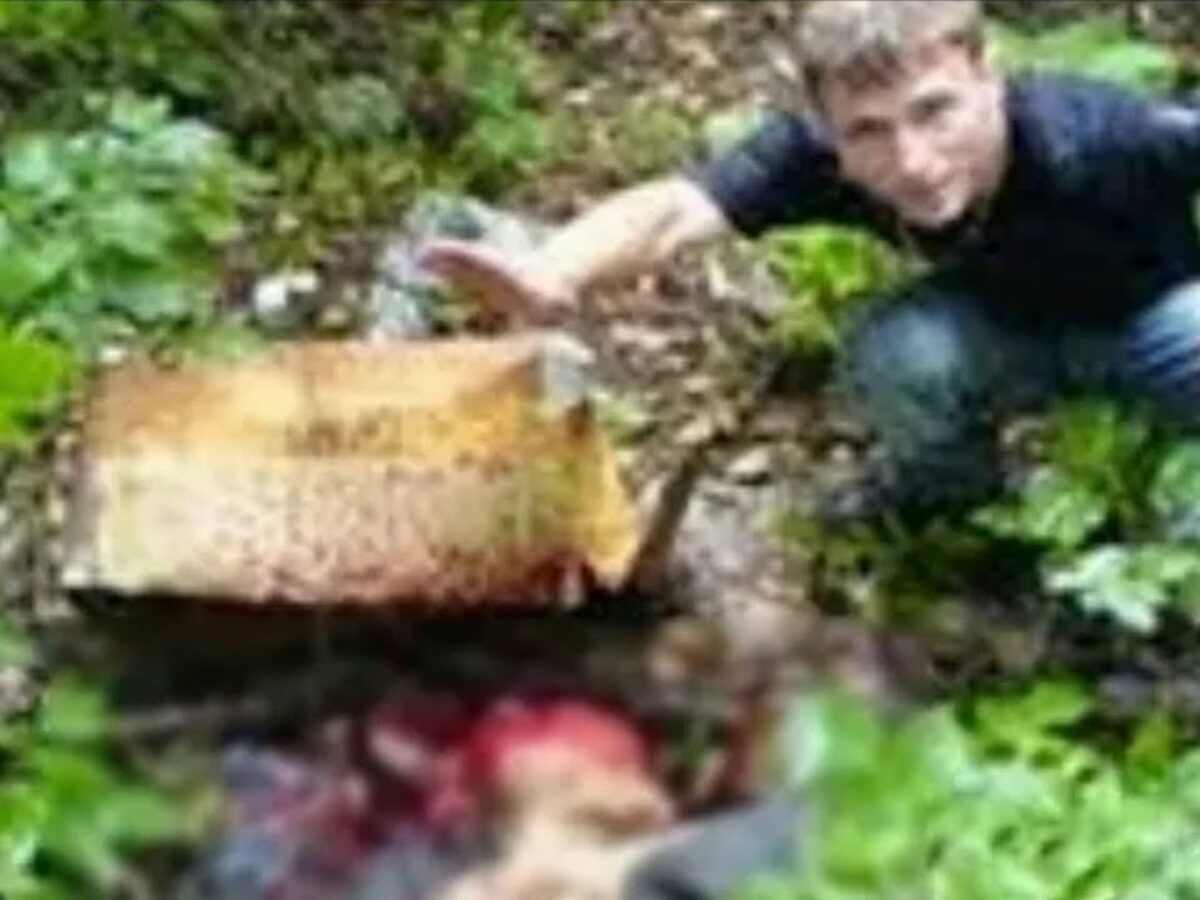 Three guys one hammer original video