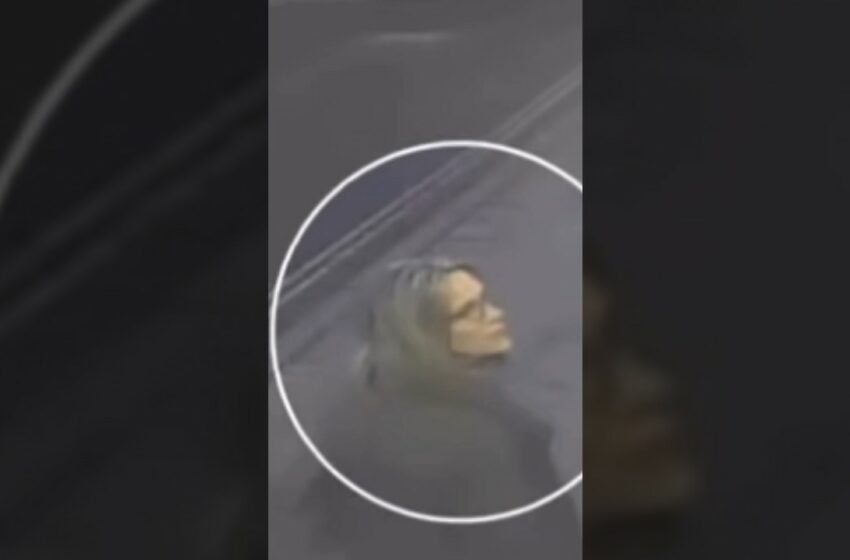 Gaynor Lord Reddit Viral full video