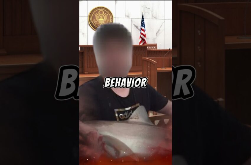 gta 6 hacker arion kurtaj full video