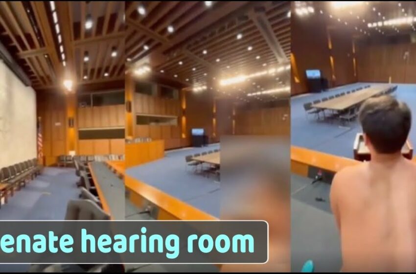 Rum Sex Video - Video : Senate Staffer Caught Filming Gay Sex Tape In Senate Hearing Room
