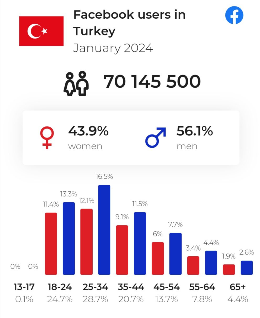 Facebook users in Turkey in 2024