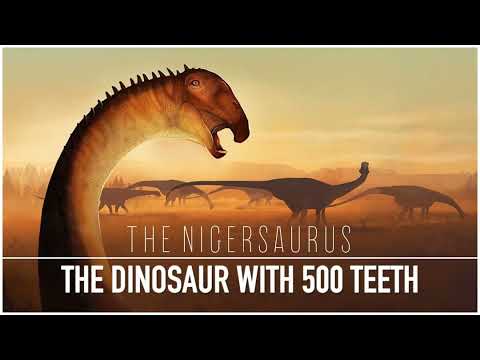  Check the answer to what dinosaur has 500 teeth