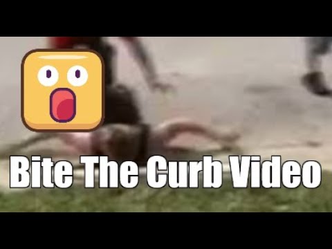  biting the curb video