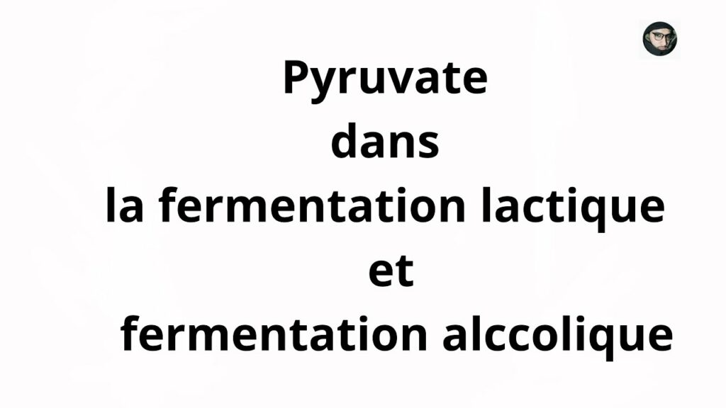 auto fermentation alcoolique auto fermentation alcoolique