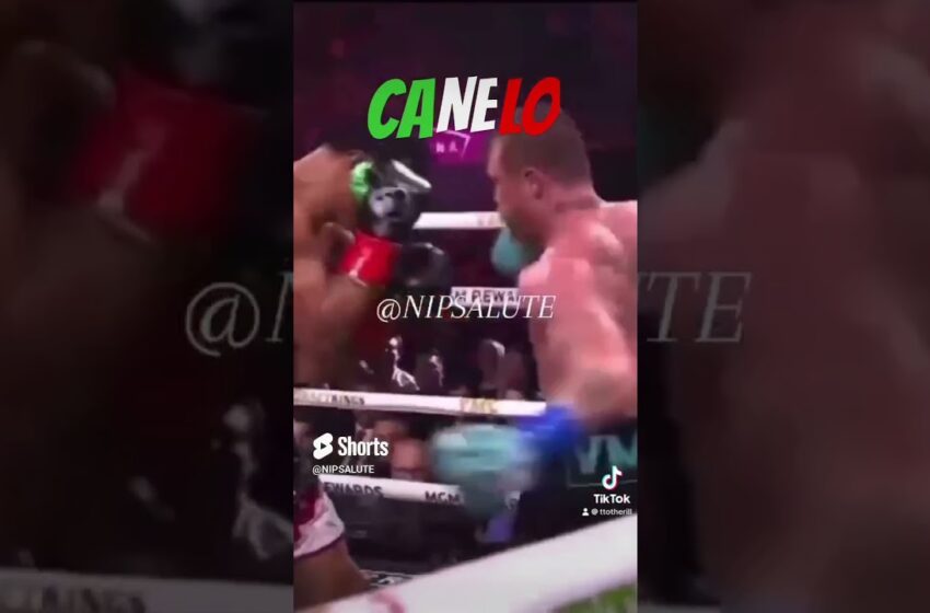  canelo vs munguia full fight video