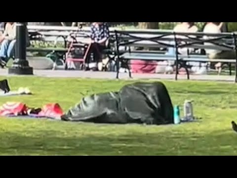  NYC park blanket couple full video