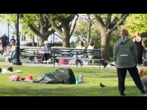  nyc park couple under blanket video