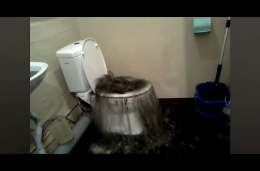  Video : skibidi toilet leaked footage