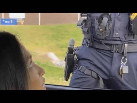 Sean herman leaked police video